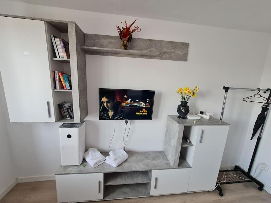 Appartement Garsoniera - Moderna - Timişoara Extérieur photo